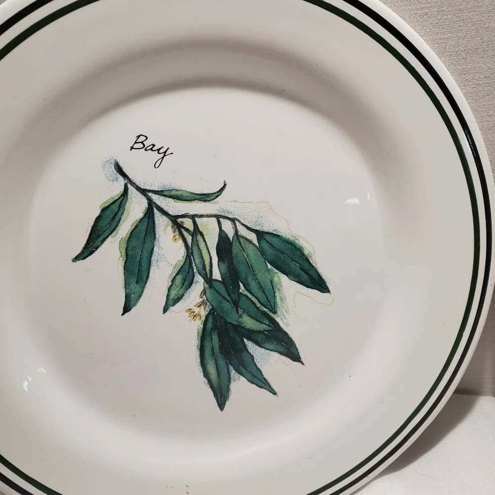 2 Williams Sonoma 8 1/4